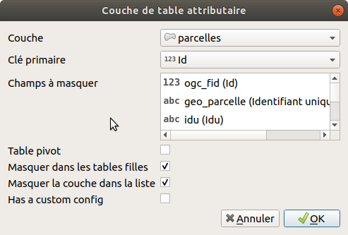 Configuration Table attributaire de la couche Parcelles