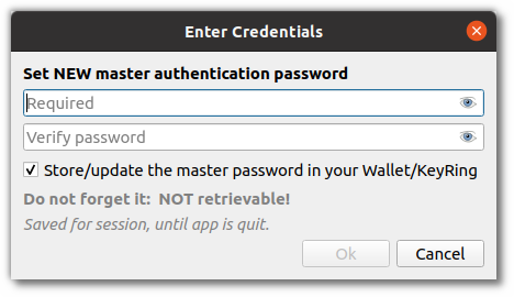 Master password